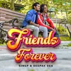 About Friends Forever Song